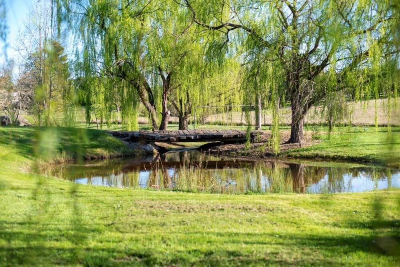 Montfort Manor ترارالغون المظهر الخارجي الصورة